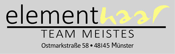 Logo_Meistes